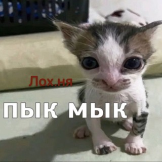 Telegram profile photo for Рест🆘 Армагедон