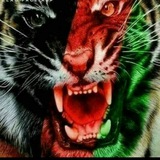 Telegram profile photo for ارتش تکاوران افغان