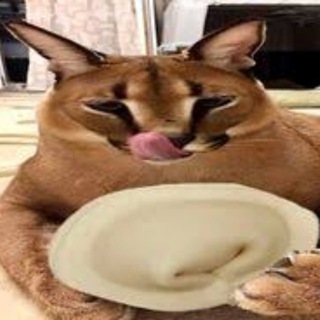 Telegram profile photo for Хомяк 🎩🤓 | 2 ГОДА В АРКАДЕ