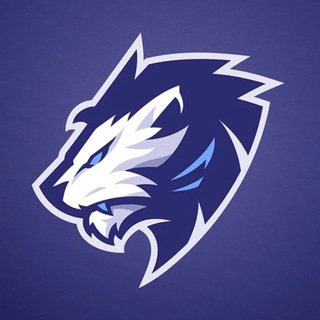 Telegram profile photo for πβπ¨VisionX