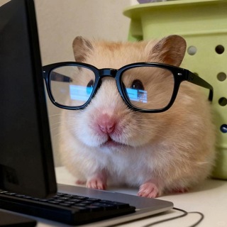 Telegram profile photo for ENT FM