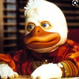 Telegram profile photo for Quack_Calls
