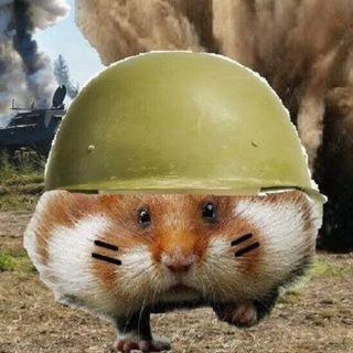 Telegram profile photo for Щека Хомяка