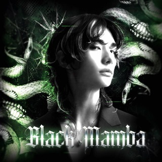 Telegram profile photo for ПЕРЕЕЗД BLACK MAMBAS