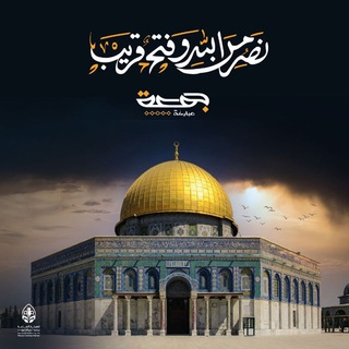 Telegram profile photo for قناة أنصار الله