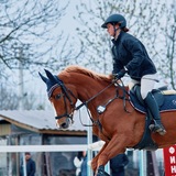 Telegram profile photo for 🐎🩶