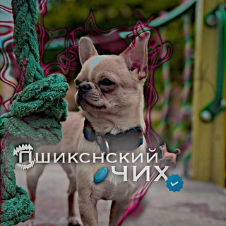 Telegram profile photo for Пушкинский чих