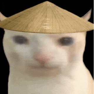 Telegram profile photo for 中國貓 Chinese Cat