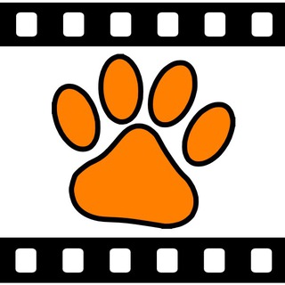 Telegram profile photo for roundcatphoto