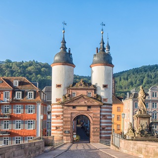 Telegram profile photo for XF FS Rhein-Neckar Info