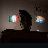 Telegram profile photo for جام جهانی 🏆