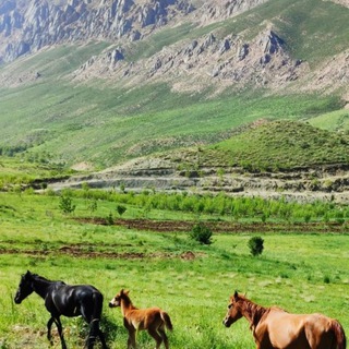 Telegram profile photo for از سبزکوه تا هلن