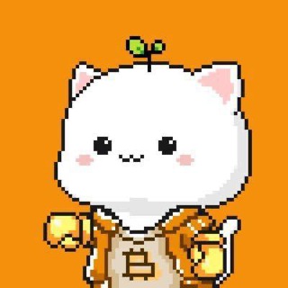 Telegram profile photo for Bitcoin Cats | $1CAT on BRC20 π±π
