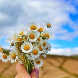 Telegram profile photo for لَحٌيِّأّةّةّ أّفِّضّلَ ... 🌿💛