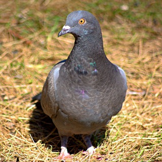 Telegram profile photo for Красота вокруг 💥😋😀