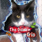 Telegram profile photo for ^_The Golden Trio _^