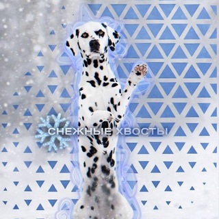 Telegram profile photo for ❄️снᴇжныᴇ хвосты❄️