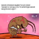 Telegram profile photo for Казино с рейтингом 2025: куда стоит вложить свои средства?