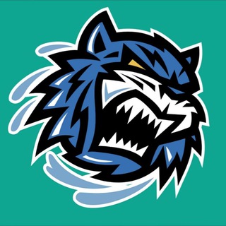 Telegram profile photo for Web Beast