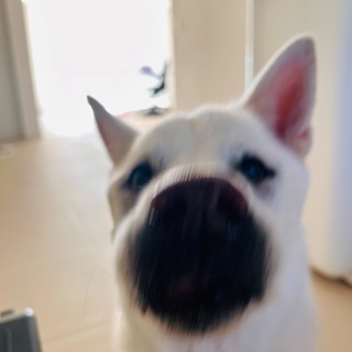 Telegram profile photo for 이해는 병목이다