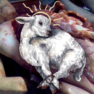 Telegram profile photo for summerly ewe