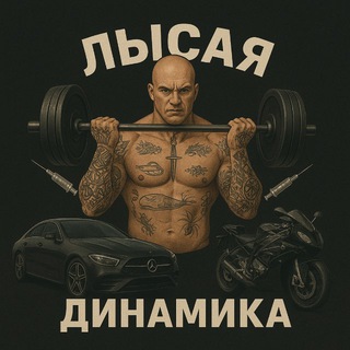 Telegram profile photo for ЛЫСАЯ ДИНАМИКА