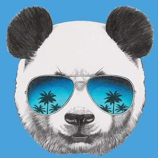 Telegram profile photo for UniRocket PDAO