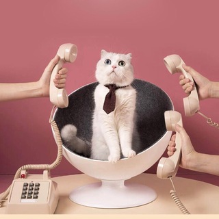 Telegram profile photo for Открыта вакансия! | Работа в Digital & Services