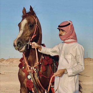 Telegram profile photo for ﮼سعّود .