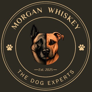 Telegram group profile photo for Чат MorganWhiskey