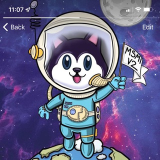 Telegram profile photo for MINI SAFEMOON INU, PRE VERIFY