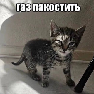 Telegram profile photo for Бред больного