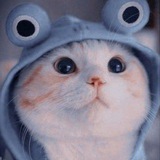 Telegram profile photo for 【✿ᎮᎥᏒᎧ✿ 】