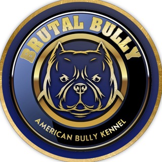 Telegram profile photo for Брутал Булли