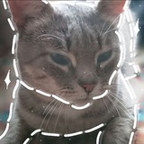 Telegram profile photo for 😸SIMBASIK🐾