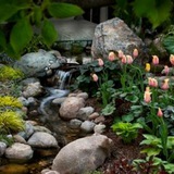 Telegram profile photo for Gardening lovers