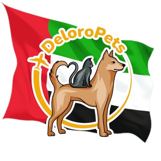 Telegram group profile photo for Перевозка животных ОАЭ 🇦🇪