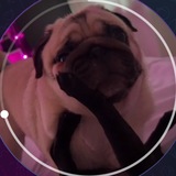 Telegram profile photo for Теритаяки
