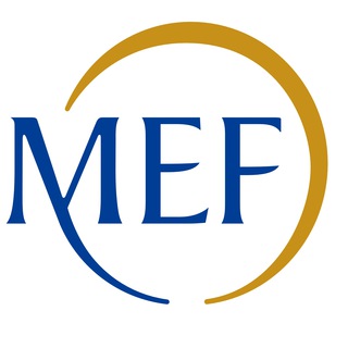 Telegram profile photo for MEF_GOV