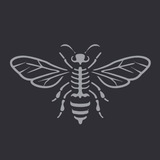 Telegram profile photo for «Поле́сские пчёлы»
