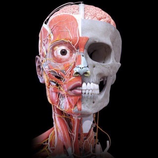 Telegram profile photo for Surgery Videos