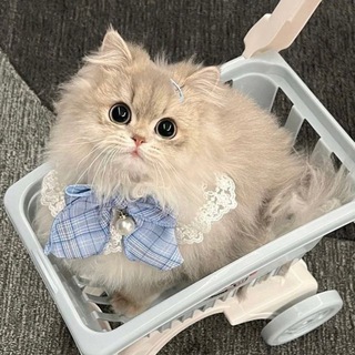Telegram group profile photo for 🔥Взаимные подписки | РЕАКЦИИ💜
