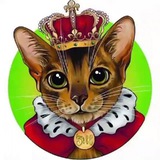 Telegram profile photo for Зевс и Рекс на связи 🐈