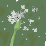 Telegram profile photo for цикорій🌼