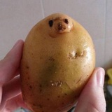Telegram profile photo for Картошка confession
