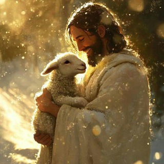 Telegram profile photo for Daily Bible Quotes | Bible Verses