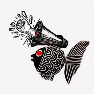 Telegram profile photo for Blackfishvoice (BFV)