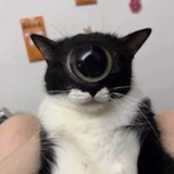 Telegram profile photo for Пупупу