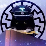 Telegram profile photo for Triumph of the Will 🔥