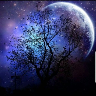 Telegram profile photo for من منّا أنا؟!